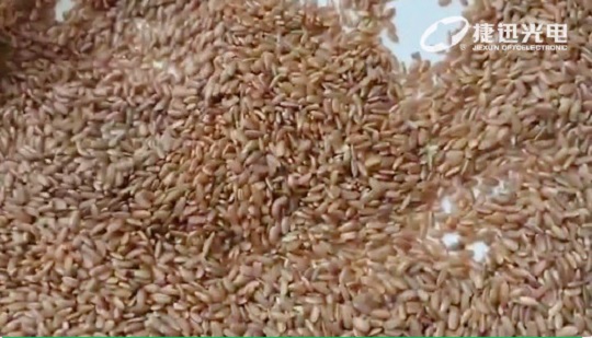 مرتب‌سازی برنج صیقل‌نشده: نه فقط مرتب‌سازی برنج صیقل‌نشده قرمز
