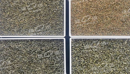 دسته‌بندی رنگ DF کیفیت و کارایی چای Xixiang را بهبود می‌بخشد.